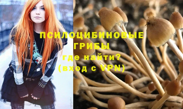 PSILOCYBIN Балабаново