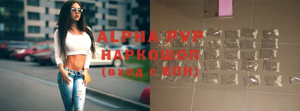 PSILOCYBIN Балабаново