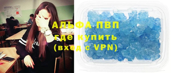 PSILOCYBIN Балабаново